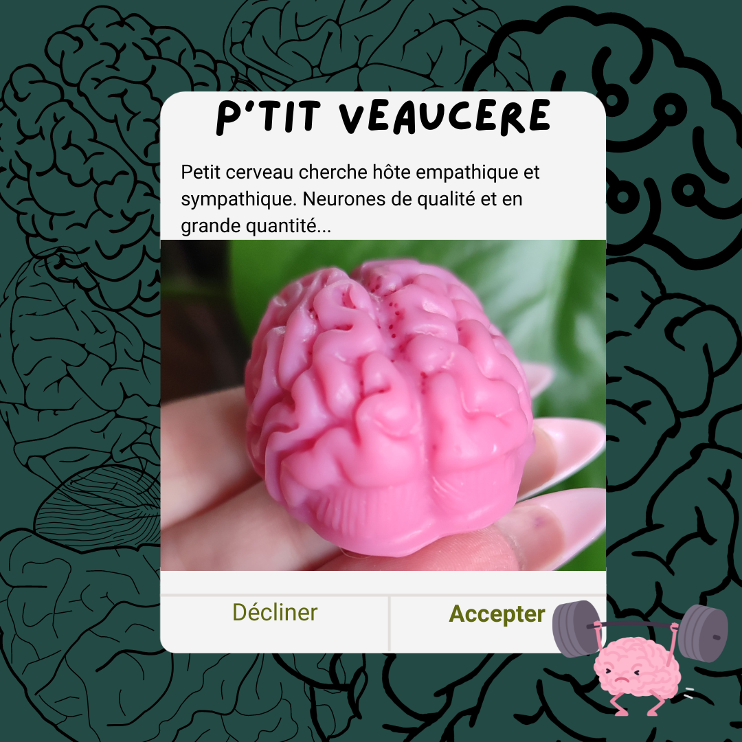P'tit veaucere