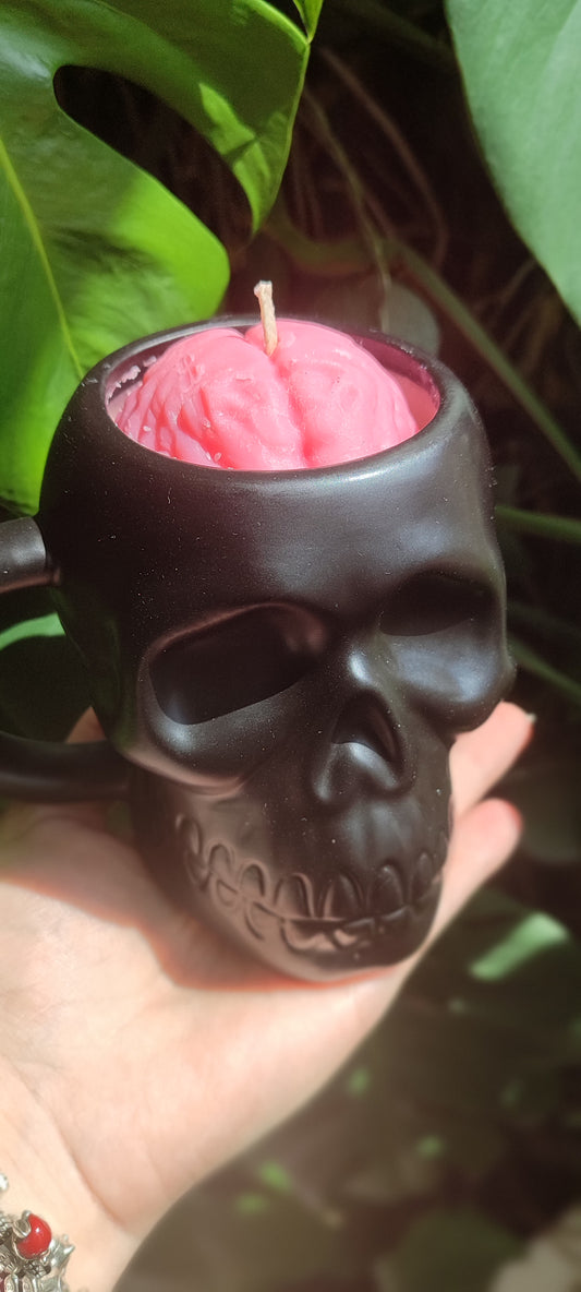 Cranium